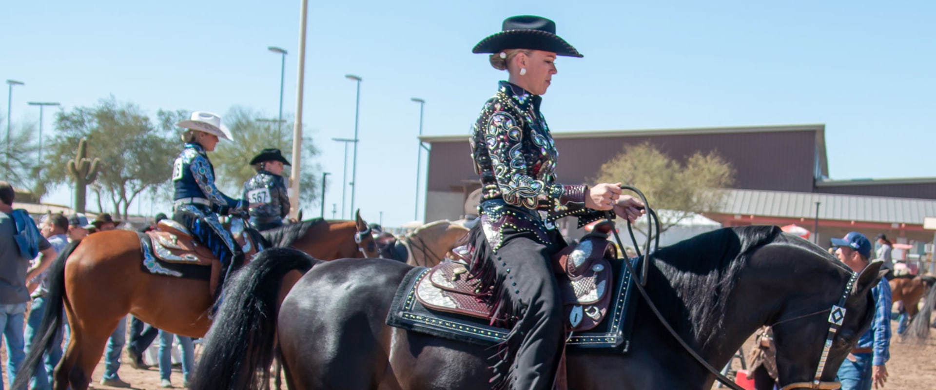 Experience the Majestic Arabian Horse Show in Scottsdale, Arizona
