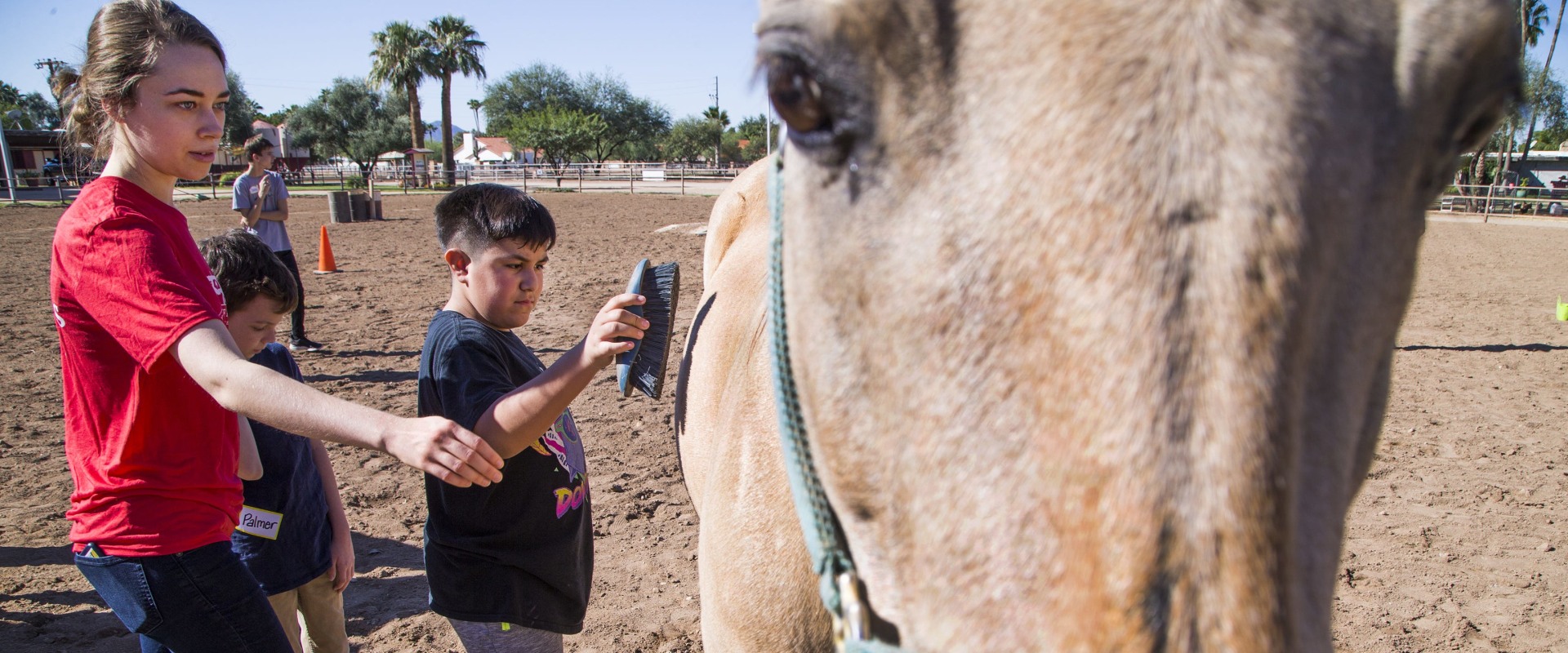 Accommodations for Disabled Attendees at Horse Shows in Scottsdale, Arizona