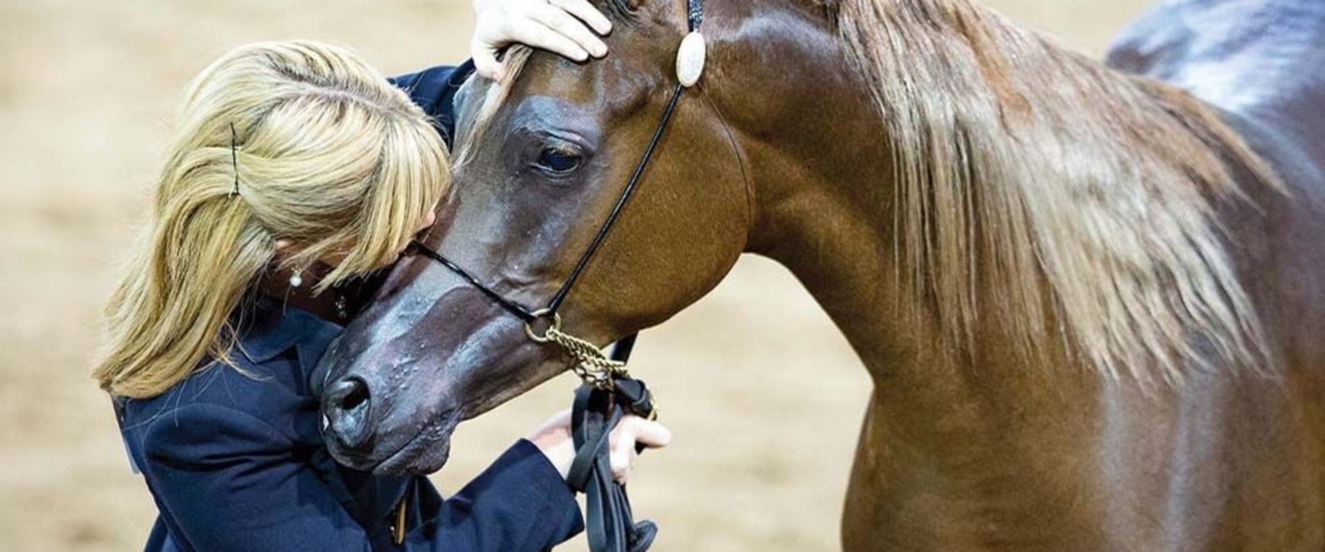 Volunteer at the World's Best Arab Equestrian Shows in Scottsdale, Arizona