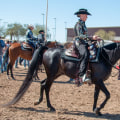 Experience the Majestic Arabian Horse Show in Scottsdale, Arizona