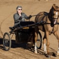 Unlock the Secrets of the Scottsdale Arabian Horse Show