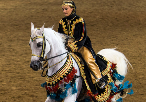 The Fascinating Journey of Horse Shows in Scottsdale, Arizona