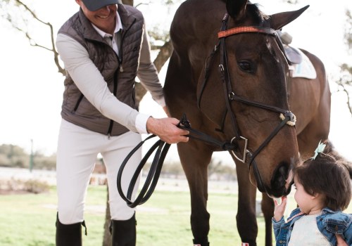 Presentation Rules for Horses at Shows in Scottsdale, Arizona