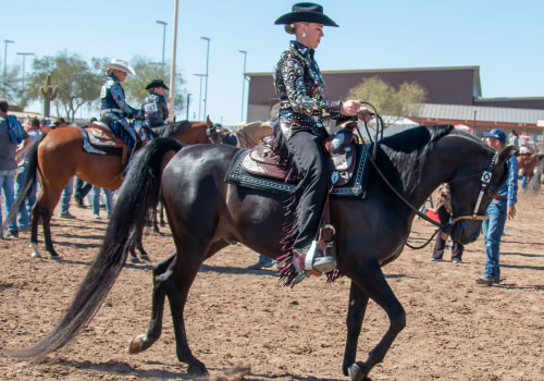 Experience the Thrill of Horse Shows in Scottsdale, Arizona